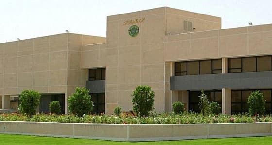 3 آلاف موظف حكومي يلتحقون بـ 126 برنامجا تدريبيا