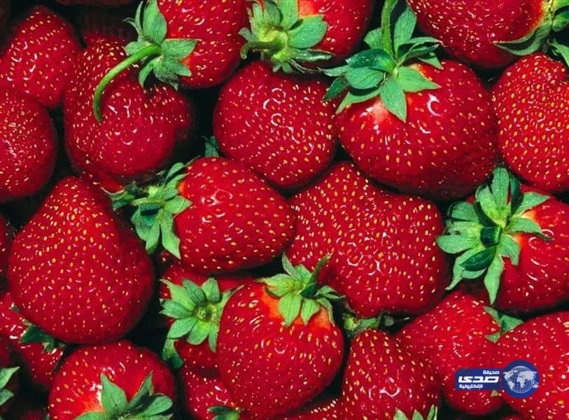 "مختص" يحذر المواطنين من شراء "الفراولة المجمدة" المصرية