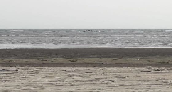 انتحار شخص في البحر بصامطة