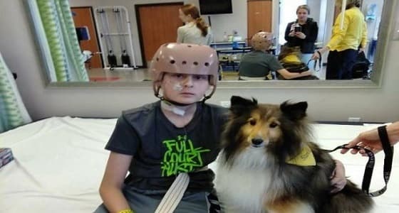 طفل يعود للحياة قبل يوم واحد من تبرع أسرته بأعضائه