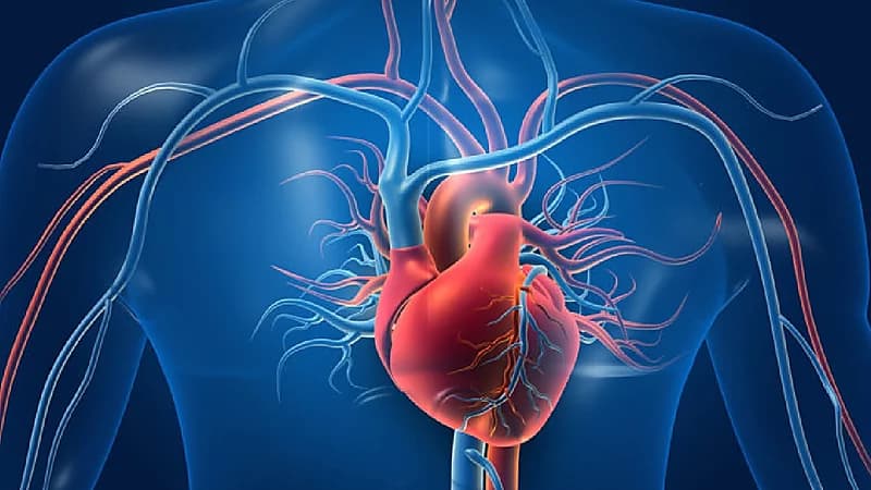 5 علامات في الدورة الدموية تنذر بإصابتك بأمراض خطيرة