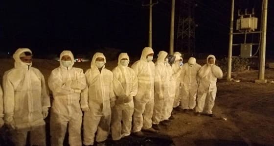 بالصور.. أمانة الطائف تتخلص من شحنة دجاج مخالفة