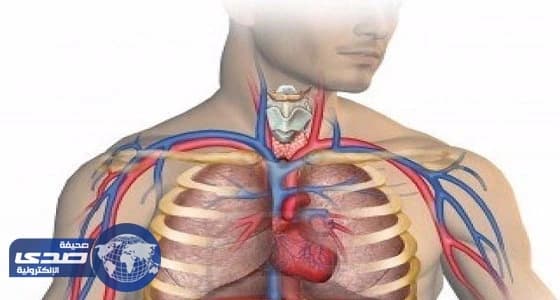 تقنية حديثة لتنشيط الجهاز اللاإرادى المنظم للوظائف التلقائية بالجسم