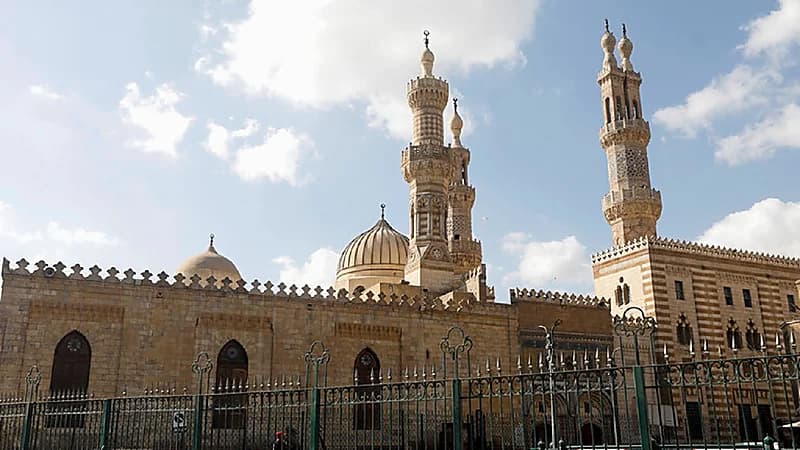 تعليق مفتي مصر الأسبق بشأن التداوي بأعضاء الخنزير