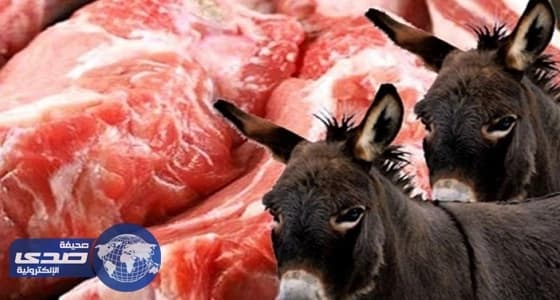 البرلمان المصري يناقش مشروع قانون يجرم بيع لحوم الحمير والكلاب