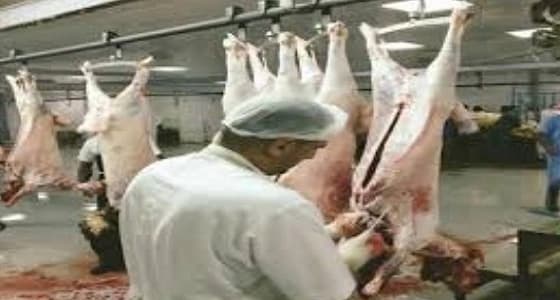 أمانة نجران تنفذ حملات تفتيشية على الملاحم بحي الحصين