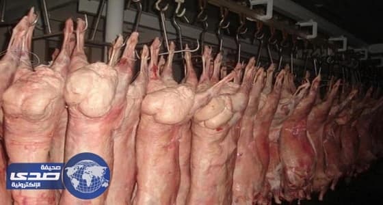 أسعار موحدة لذبح الأغنام بتبوك