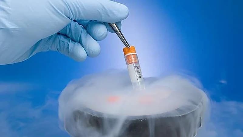استشارية توضح السن المناسب لتجميد البويضات