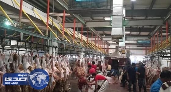 السماح للمطابخ بذبح الأضاحي خلال أيام التشريق