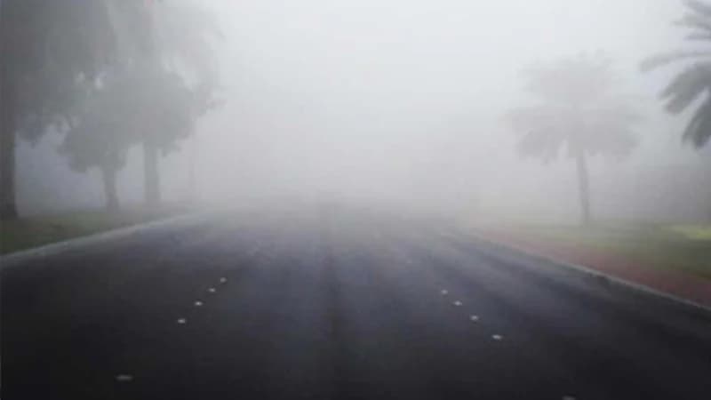 "الأرصاد" يحذر أهالي المنطقة الشرقية من الضباب