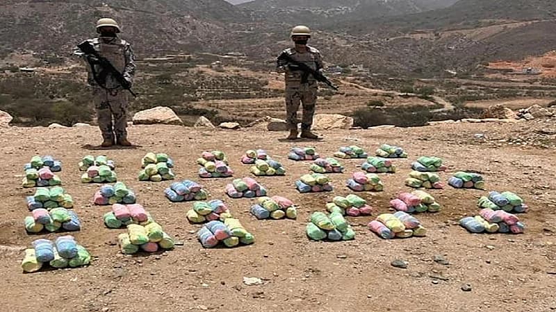 إحباط تهريب 48 كيلو جرامًا من نبات القات المخدر بجازان