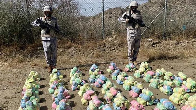 إحباط تهريب 160 كيلوجرامًا من نبات القات المخدر بجازان