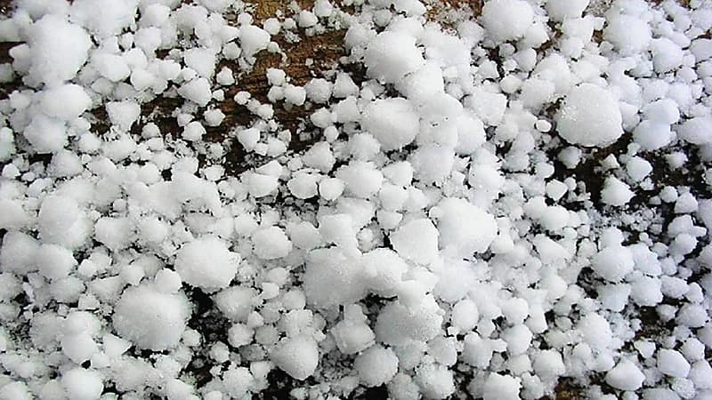 فيديو..البرد ترسم لوحة خلابة في الطائف