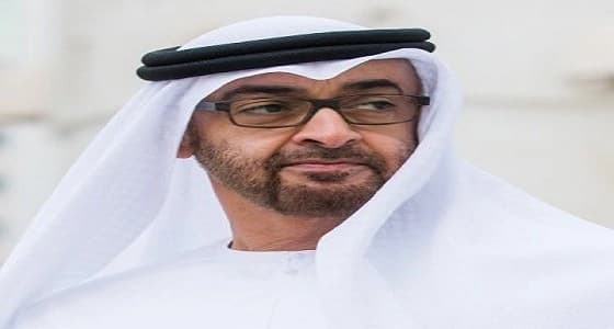 محمد بن زايد يؤكد وحدة صف المملكة والإمارات ضد الإرهاب