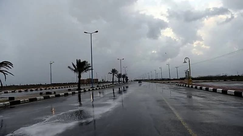 العقيل: من المتوقع أن تصفو الأجواء غدا في المملكة .. فيديو