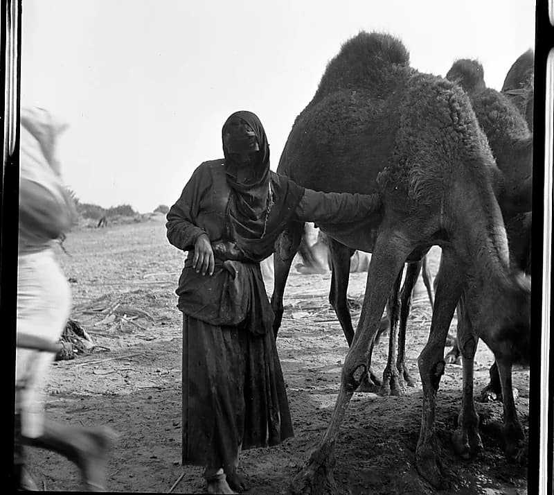 صورة في قمة الجمال لامراة بجوار الإبل قبل 85 عام