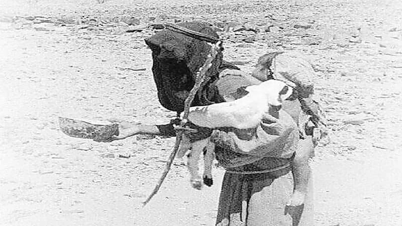 صورة لامرأة من بيشة تحمل صغيرها وإناء حليب قبل 75 عاما