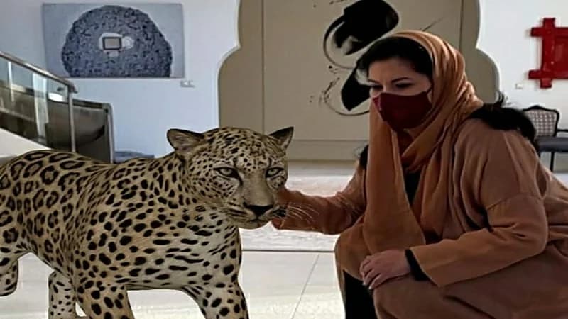 بالصور.. الأميرة ريما بنت بندر مع نمر عربي داخل منزلها