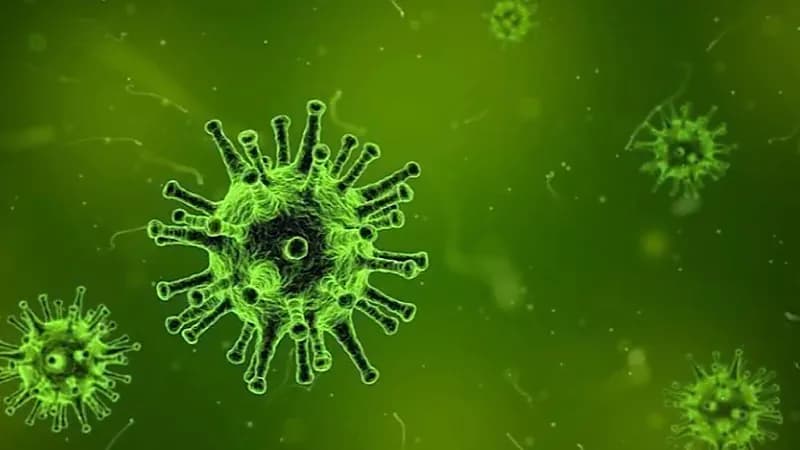 كورونا يسجل حوالي480.9 مليون حالة عالميًا حتى اليوم