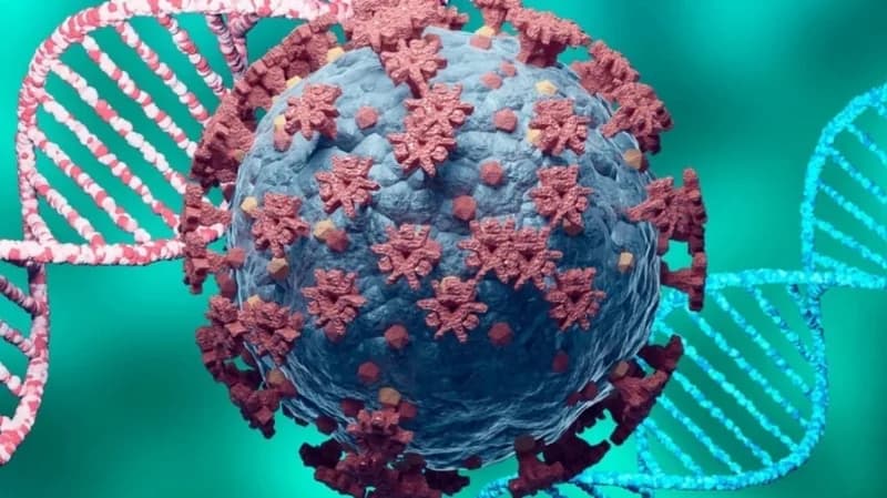 سلالتان أوميكرون يتسببان في ارتفاع وتيرة الإصابات