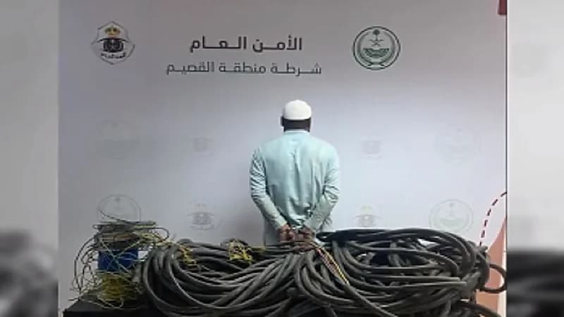 بالفيديو.. ضبط مواطنين ومقيمين تورطوا في جرائم سرق واحتيال ونقل مخالفين