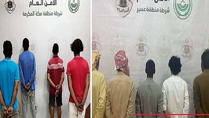 بالفيديو.. ضبط مجرمين ارتكبوا حوادث سطو وصدم ونقل مخالفين