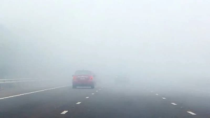 الأرصاد: ضباب على ينبع والرايس وينبع النخل