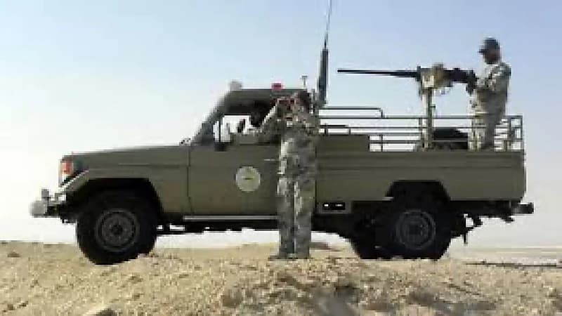 احباط تهريب 180 كيلوجرامًا من نبات القات المخدر