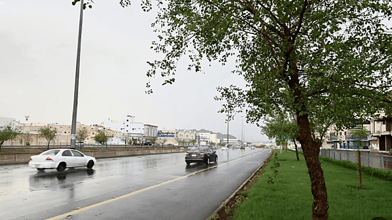أمطار خفيفة على المدينة المنورة ومحافظتي المهد والحناكية