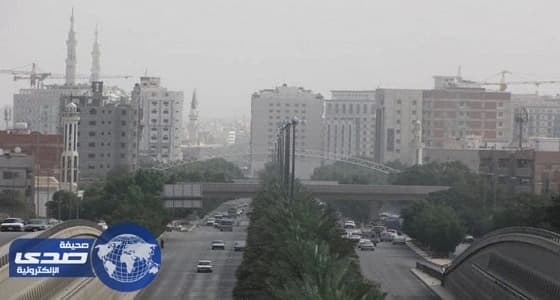 بالفيديو.. مواطن يحول الأشجار التي أمام منزله إلى مظلة