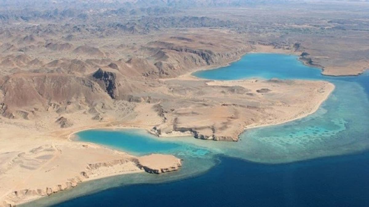 بالفيديو.. انخفاض شعبية " بشار الأسد " وعدم قدرته على الحشد بسوريا