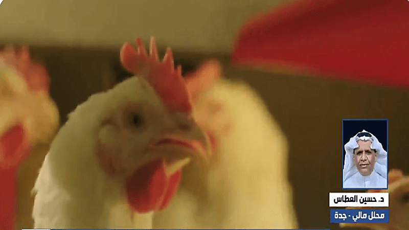 "مختص" يوضح هل ينافس الإنتاج المستورد من الدواجن شركة المراعي في الأسعار(فيديو)