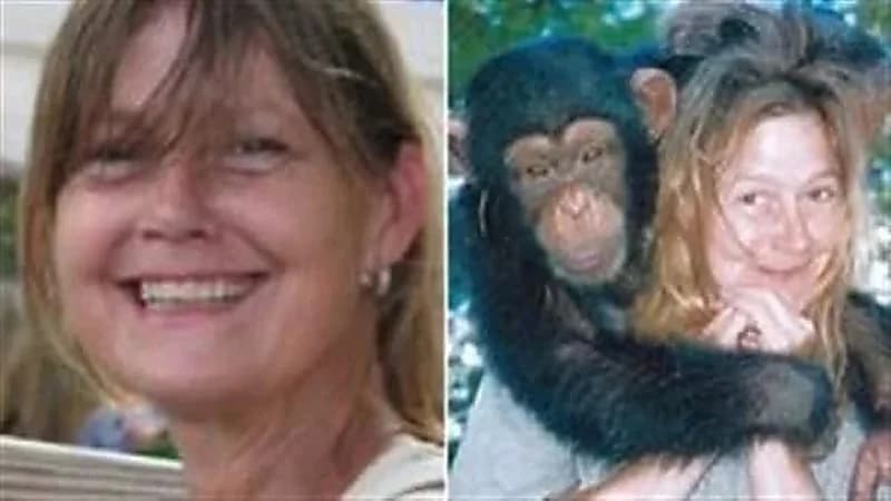 شامبنزي يلتهم وجه سيدة ويخفي ملامحها بالكامل