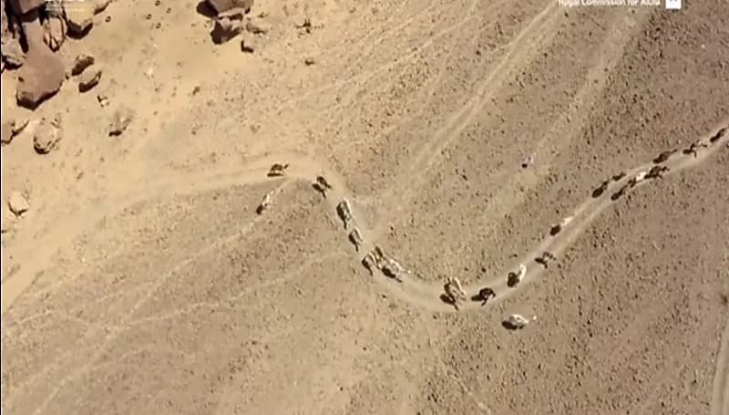 شاهد.. تسجيل محمية حرة عويرض ضمن برنامج الإنسان والمحيط الحيوي في اليونسكو