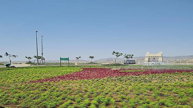 تجهيز 104 ممشى وحديقة لاستقبال سياح وأهالي أبها.. صور