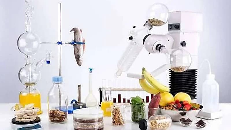 الخضيري: النكهات والألوان الصناعية تصيب الجسم بأمراض المناعة