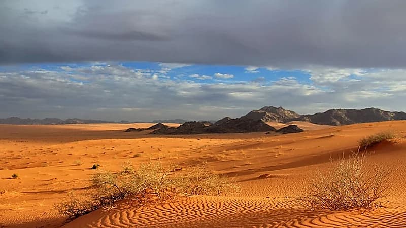 تحويل جزء من صحراء النفود الكبير لمحمية فلكية