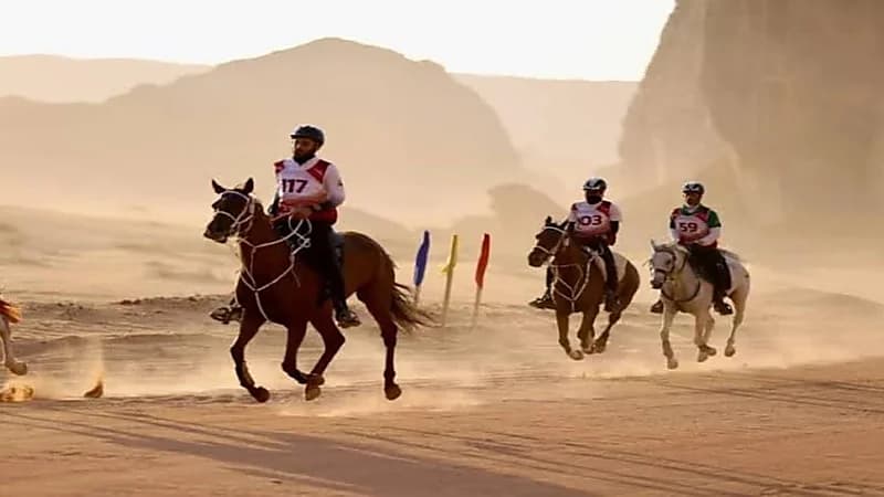 انطلاق سباق كأس التحدي الدولي للقدرة والتحمل في العلا