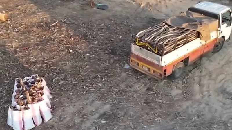 ضبط مخالفًا لنظام البيئة بحوزته حطب محلي بالقصيم   .. فيديو