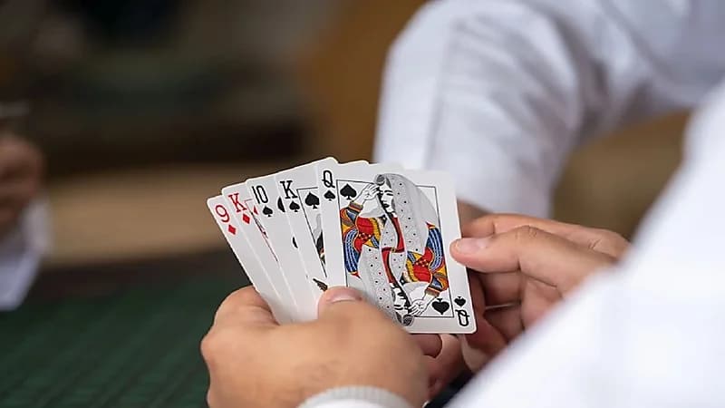 طبيب: البلوت يزيل التوتر ويحفز الذاكرة