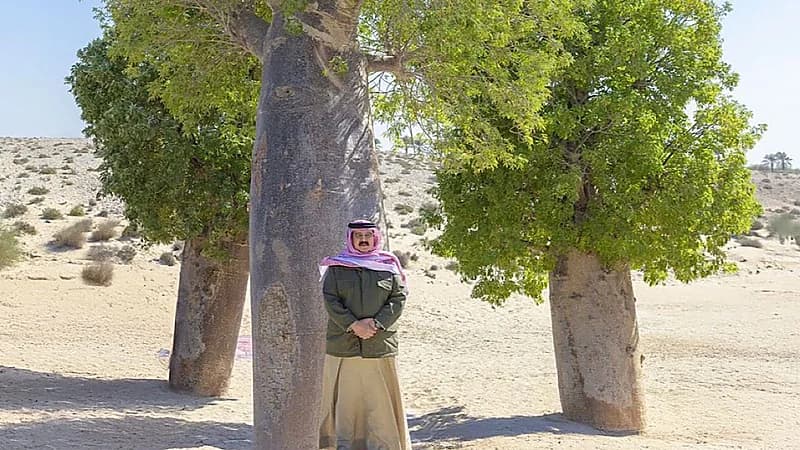 ملك البحرين يقوم بجولة في المناطق البرية بالمحافظة الجنوبية