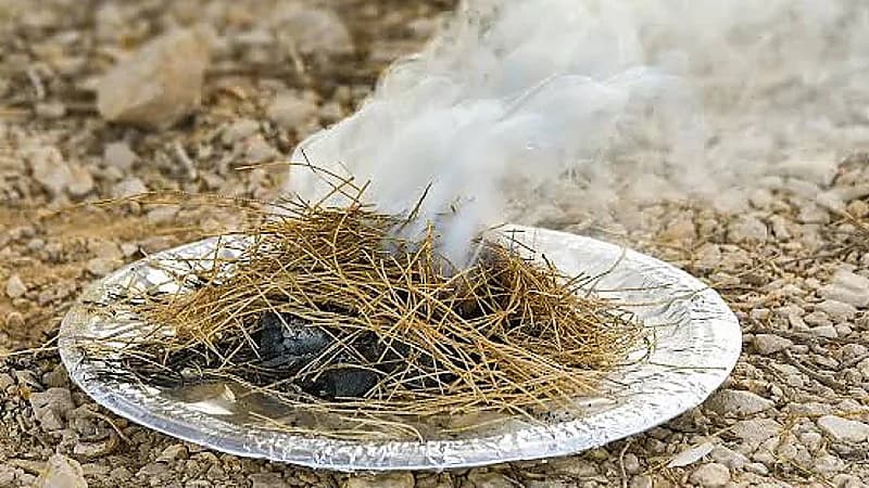 النمر يحذر من استنشاق الكبو خاصة لمرضى التهاب الرئتين والقلب. فيديو