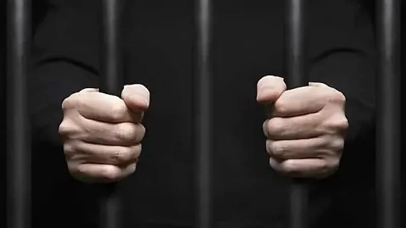 القبض على المتهم بذبح قطة في بث مباشر على مواقع التواصل