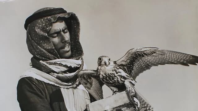 رجل يحمل صقرًا من بادية بقيق بالمنطقة الشرقية.. صورة