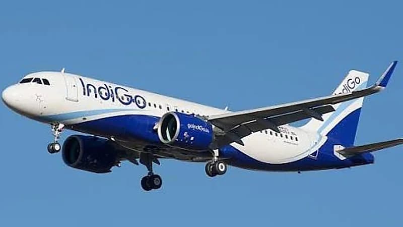 فأر يتسبب في إخلاء 140 راكبًا وتأخير رحلة طيران