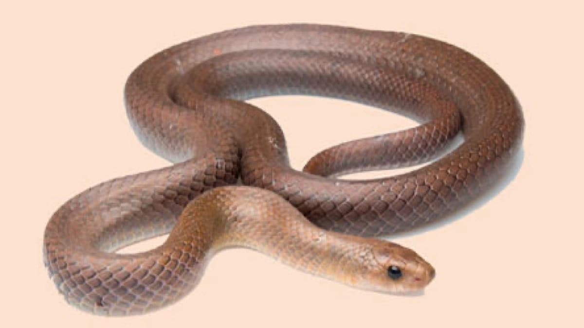 WhatsApp Image 2025-11-03 at 1.57.43 PM (1).jpeg