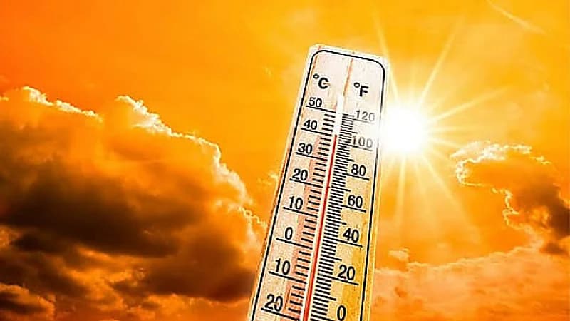 الحصيني: طباخ والتمر في يوليو أكثر الشهور حرارة