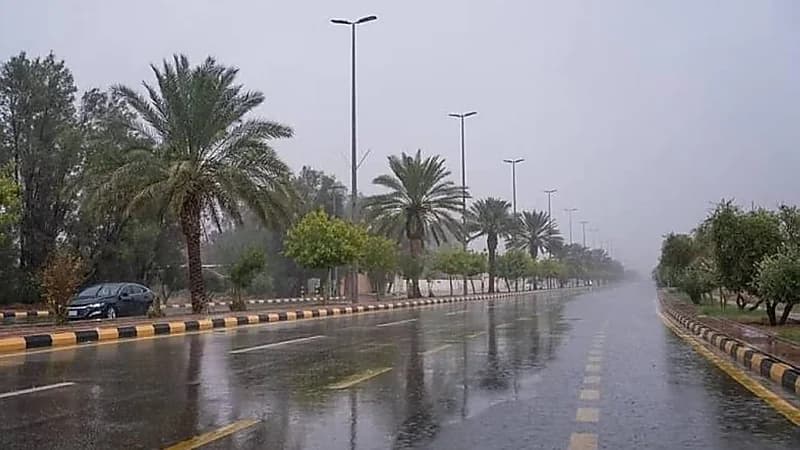 أمطار الهريف.. المسند يشرح أسبابها وتأثيرها على مناطق المملكة