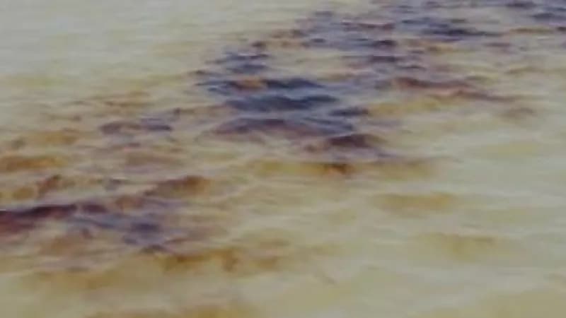 رصد بقع زيتية في إحدى المناطق البحرية التابعة للهيئة الملكية بينبع