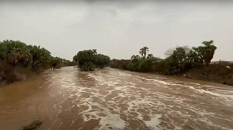 أمير جازان بالنيابة يتابع تداعيات الحالة المطرية